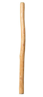 Medium Size Natural Finish Didgeridoo (TW1223)